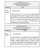 Notas a estados financieros